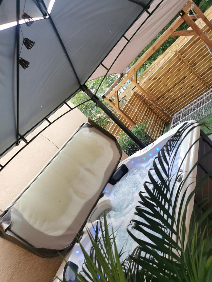 Apartament Lyon Superbe Jacuzzi Vue Sur Jardin Villeurbanne Zewnętrze zdjęcie